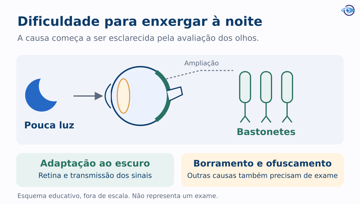 Esquema educativo de pouca luz chegando à retina e ativando bastonetes, com destaque para a diferença entre adaptação ao escuro e ofuscamento. Esquema educativo de pouca luz chegando à retina e ativando bastonetes, com destaque para a diferença entre adaptação ao escuro e ofuscamento.