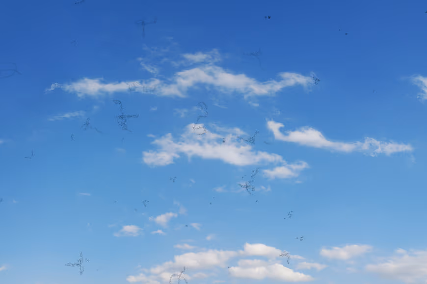 Mapeamento de Retina / Fundo de Olho.