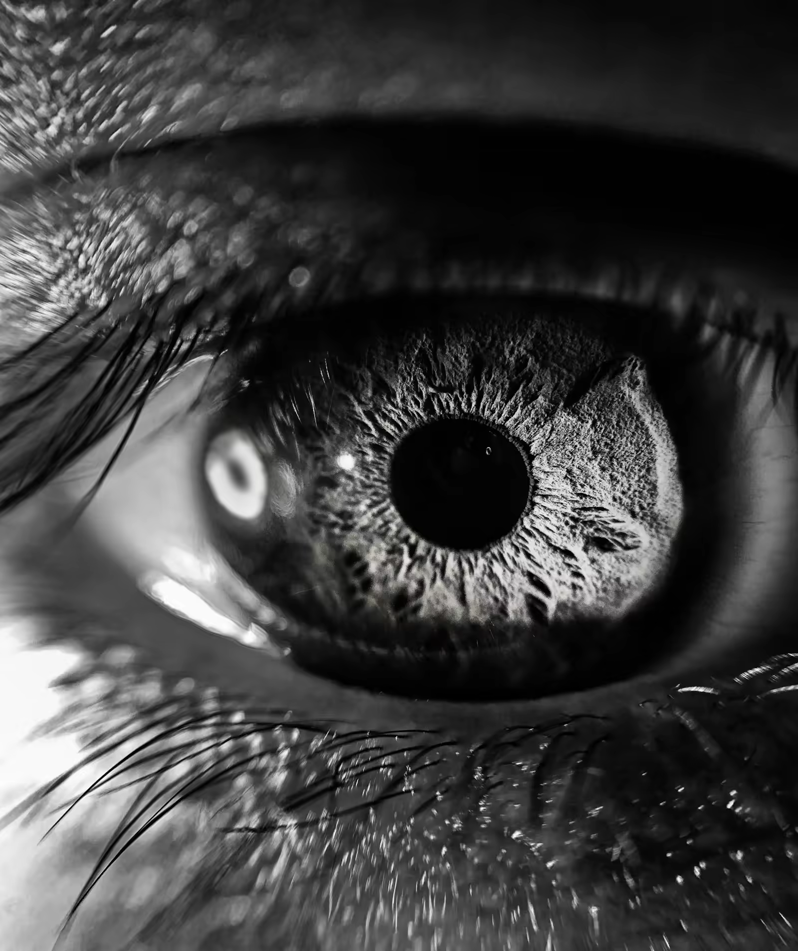 Closeup dramático de um olho humano em fotografia preto e branco Closeup dramático de um olho humano em fotografia preto e branco